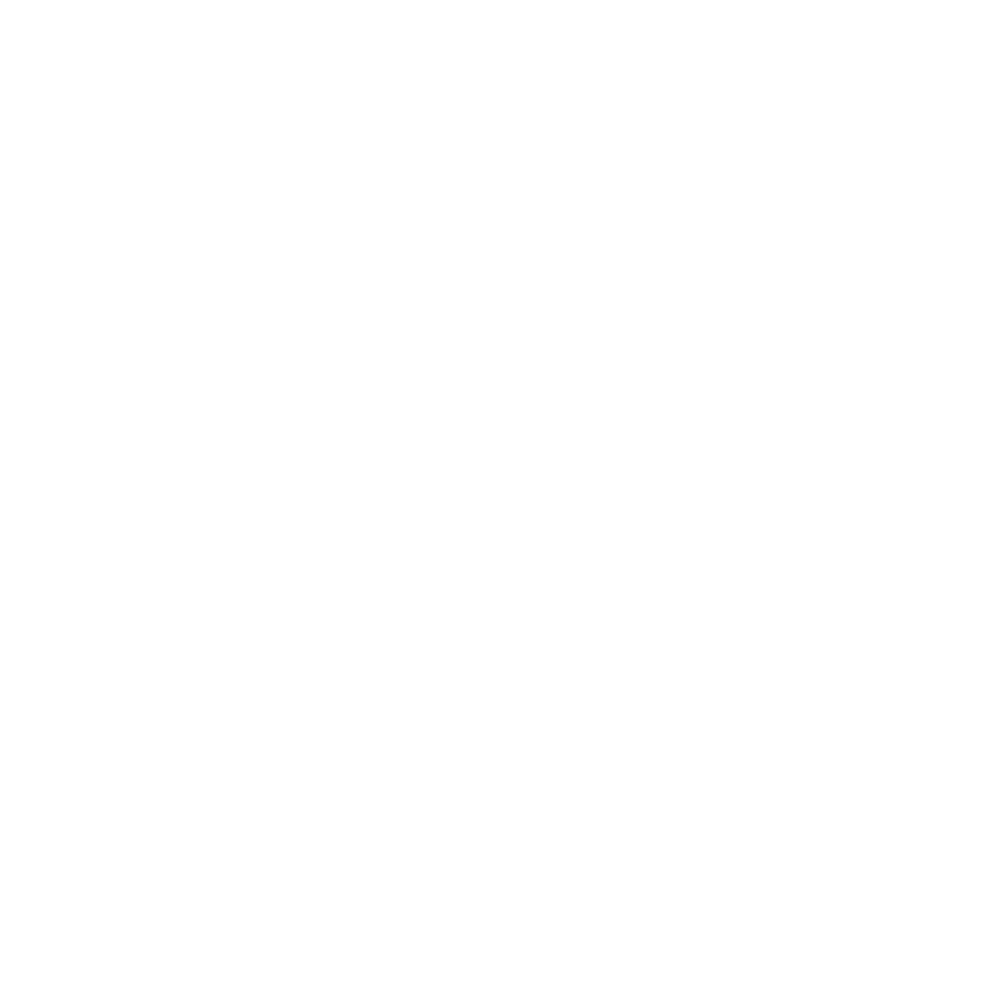 MAGNUM SPORT*