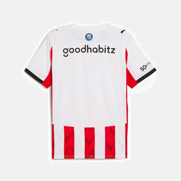 Camisa PSV 2025/26 I