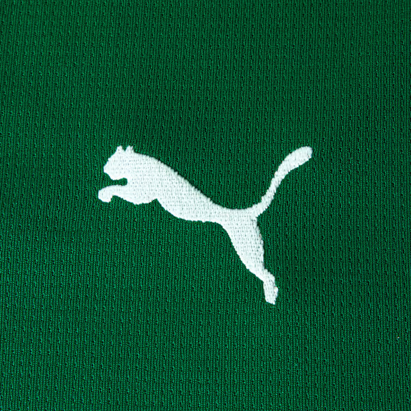 Conjunto Infantil Palmeiras 2026/27 I — imagem 5